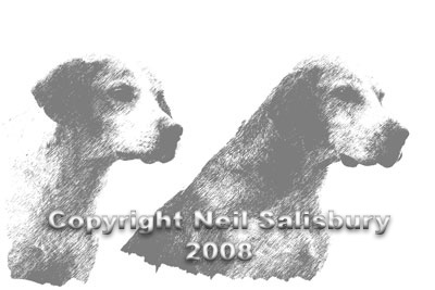 Hound Couple sketch by Betty Fold Gallery